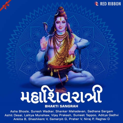 Om Namah Shivay - Vijay Prakash