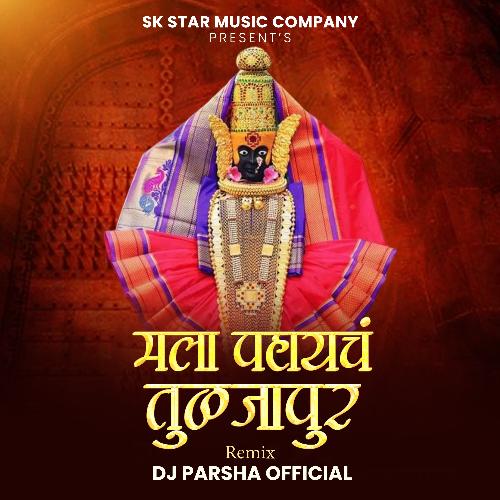 Mala Pahaych Tuljapur