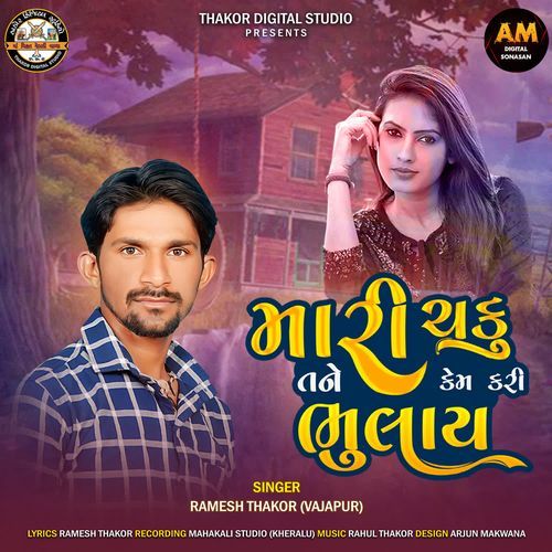 Mari Chaku Tane Kem Kari Bhulay