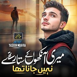 Meri Ankhon Ke Sitare Thy - Nahi Jana Tha