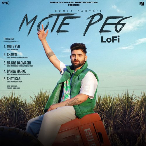 Mote Peg (Lofi)_poster_image