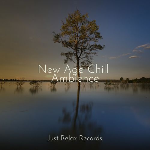 New Age Chill Ambience_poster_image