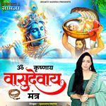 Om Krishnaya Vasudevaya Mantra