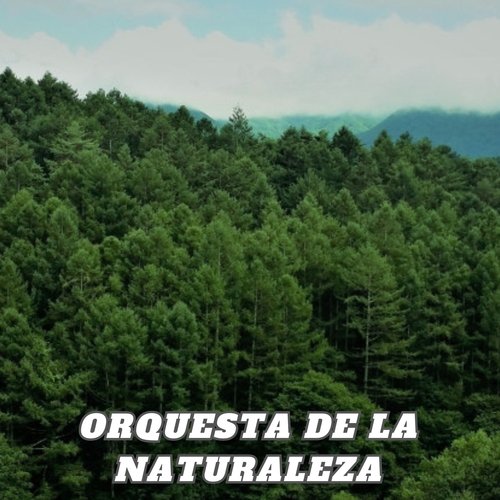 Orquesta de la Naturaleza cover art