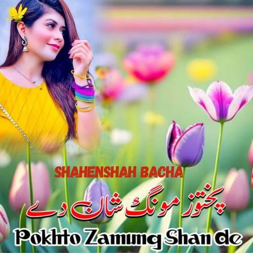 Pokhto Zamung Shan De