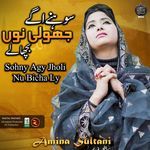 Sohny Agy Jholi Nu Bicha Ly