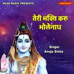 Teri Bhakti Karu Bholenath