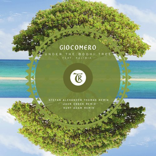 Under the Bodhi Tree