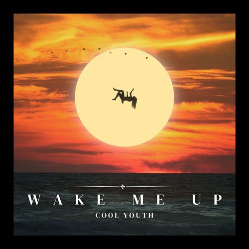 Wake Me Up