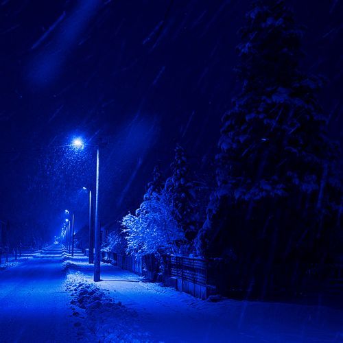 Winter Evening