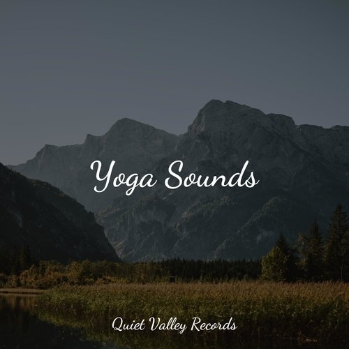 Meditating Music cover art
