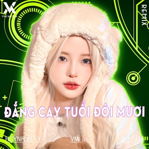 Đắng Cay Tuổi Đôi Mươi (Remix)