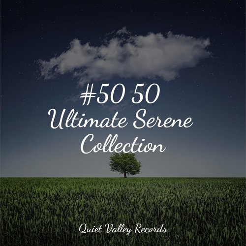 #50 50 Ultimate Serene Collection