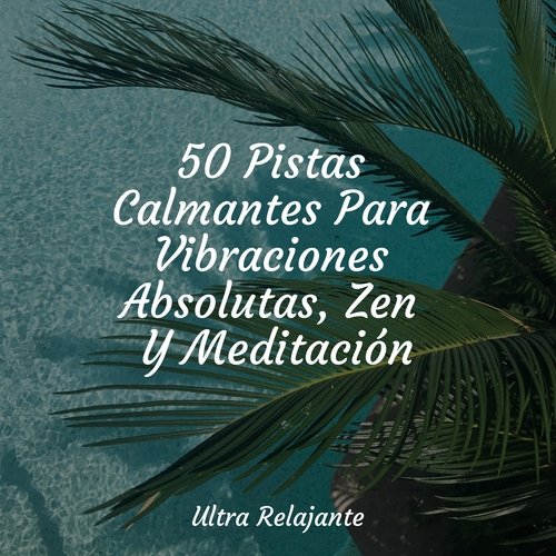 50 Pistas Calmantes Para Vibraciones Absolutas, Zen Y Meditación