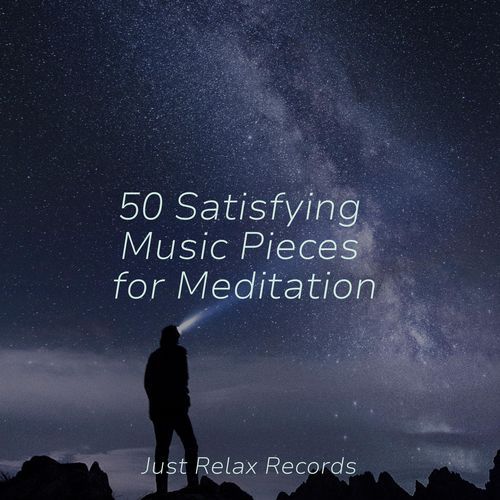 50 Satisfying Music Pieces for Meditation