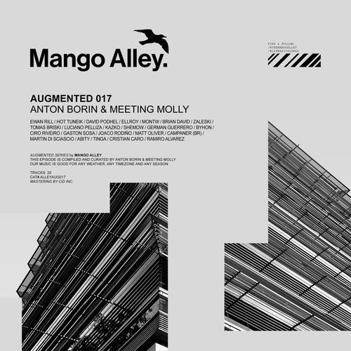 Augmented 017 / Anton Borin & Meeting Molly