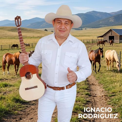 Cuatro Letras (Live)