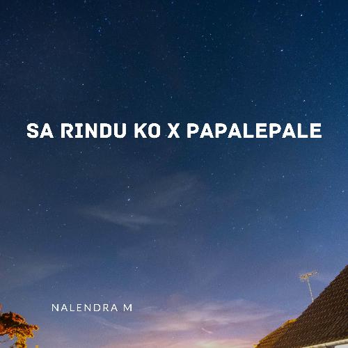 DJ Sa Rindu Ko X Papalepale cover art