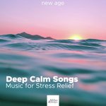 Meditation and Insight
