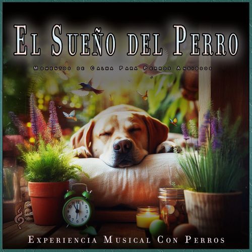 Canciones de cuna para perros cover art