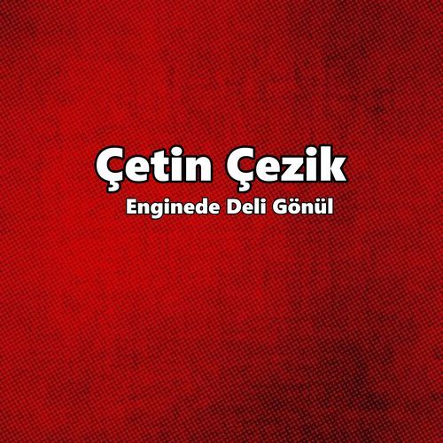 Enginede Deli Gönül cover art