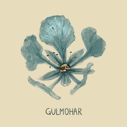 Gulmohar-KjgnfEdbBn4