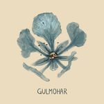 Gulmohar