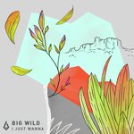 Big Wild