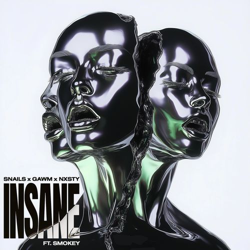 Insane (feat. Smokey)_poster_image