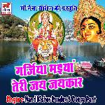 Itna Toh Karna Swami Jab Pran Tan Se Nikle (Hindi)