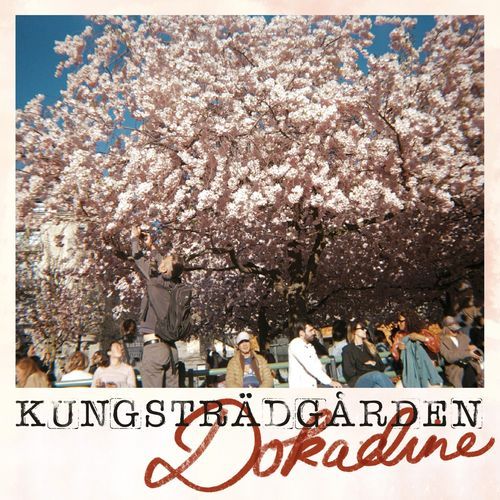 Kungsträdgården cover art
