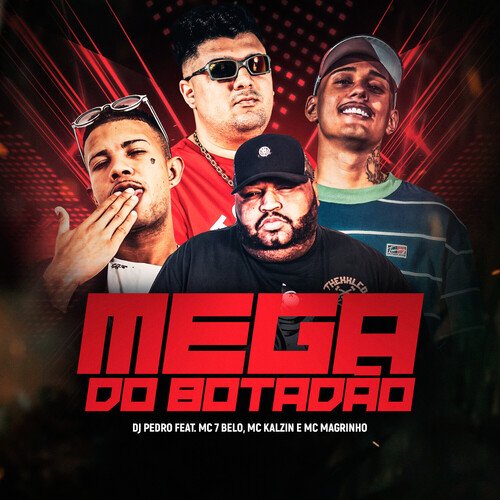 Mega do Botadão_poster_image