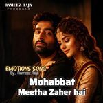 Mohabbat Meetha Zaher Hai