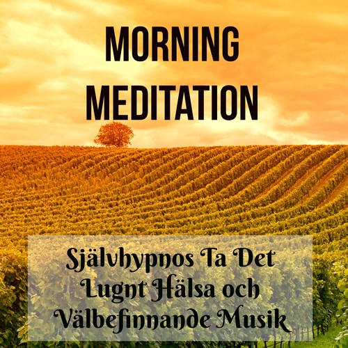 Morning Meditation - Självhypnos Ta Det Lugnt Hälsa och Välbefinnande Musik för Positivt Tänkande Mindfulnessträning Helande Daglig Yoga_poster_image