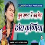 Mun Jamna Mein Mat Ched Chora Krushinyaa