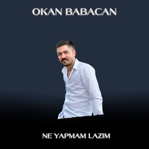 Ne Yapmam Lazım cover art