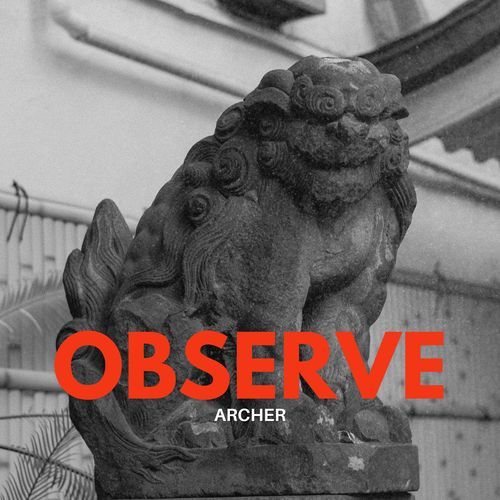 Observe