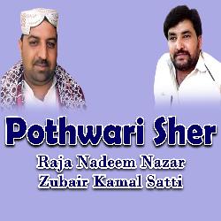 Pothwari Sher-OgIlBAFAVWo