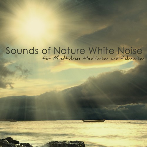 Rain Sounds (White Noise) cover art
