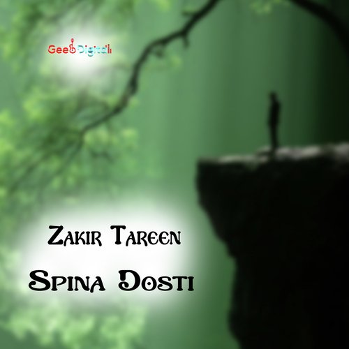 Spina Dosti