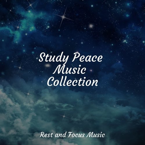 Study Peace Music Collection