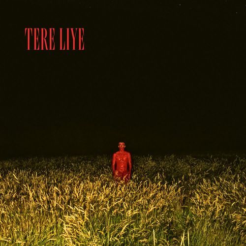 TERE LIYE