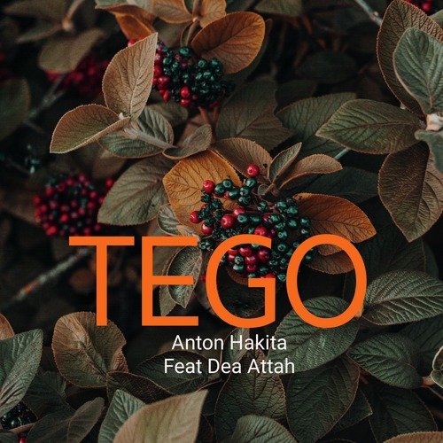 Tego cover art