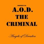 The Criminal (feat. Mike McCready)