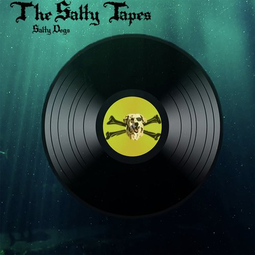 The Salty Tapes_poster_image