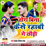 Tora Bina Kese Rahbho Ge Chhaudi (bhojpuri)