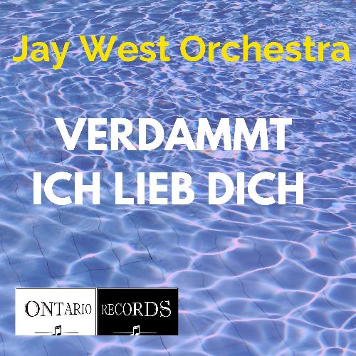 Verdammt ich lieb dich (Karaoke) cover art