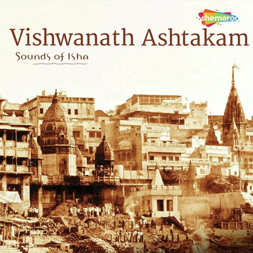 Vishwanath Ashtakam