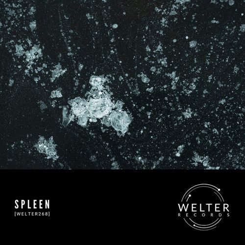 [WELTER268]