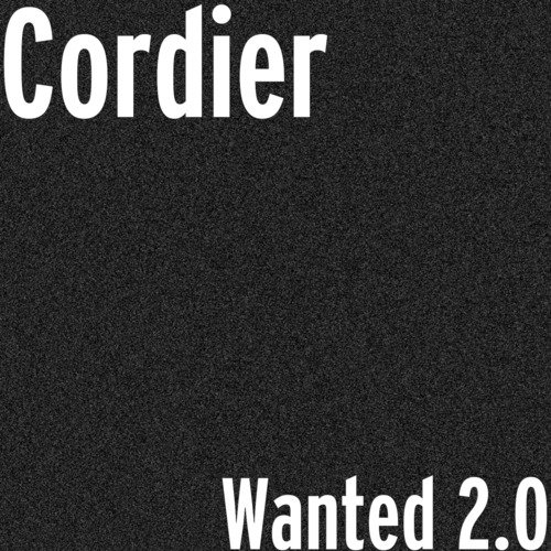 Wanted 2.0_poster_image